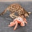 Electric Lobster Simulation Toy